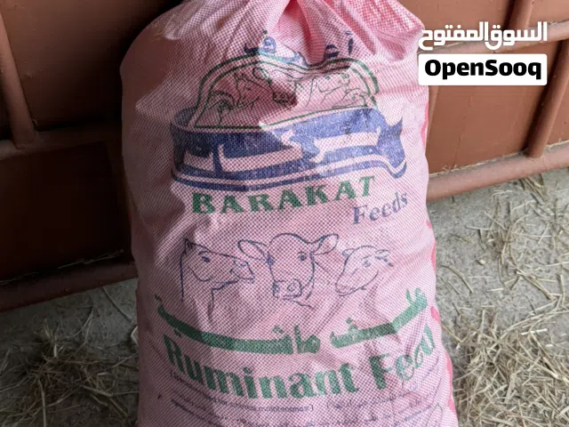 خبز للبيع الجواني الحجم الكبير سعر الجونيه 1,800