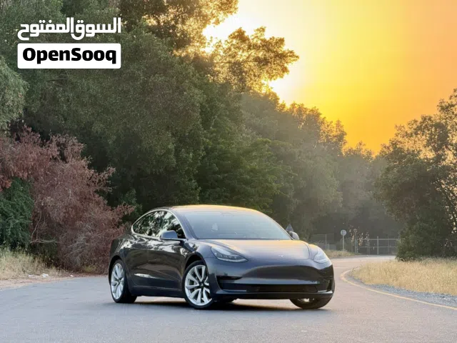 2020 تيسلا موديل 3 Long Range