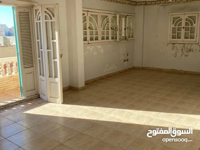 250 m2 3 Bedrooms Apartments for Sale in Alexandria Glim