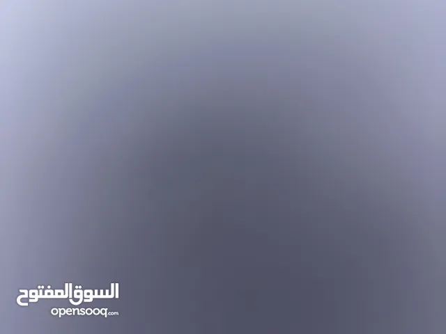 مطلوب بطه و صوص صغار