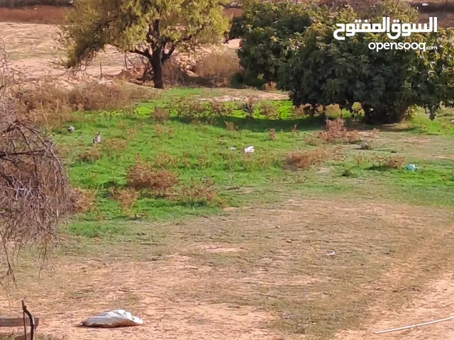 Farm Land for Sale in Gharyan Other