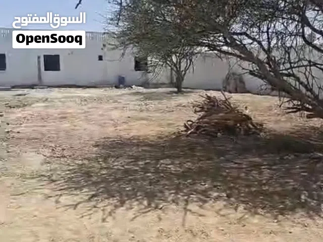 Residential Land for Rent in Ras Al Khaimah Other