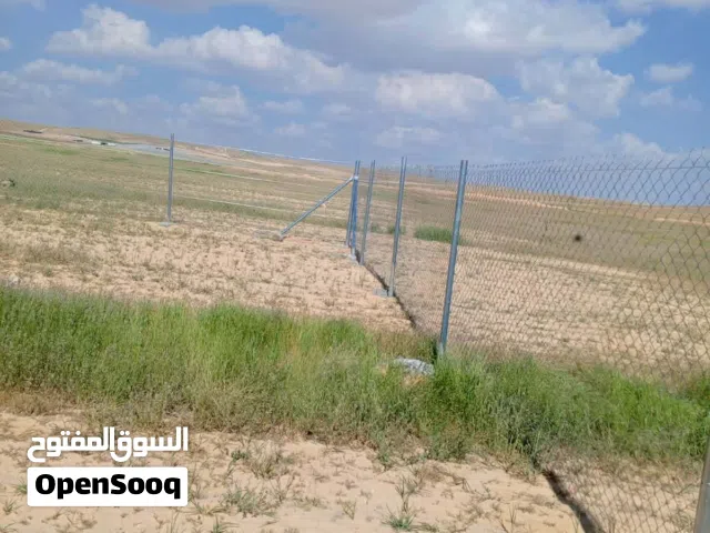 ارض مشيكة بل كامل قابلة للتفاوض 13 دنم علا شارع 30 جمبها مزارع واصلها شارع وكهرباء