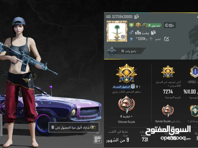 Pubg Accounts and Characters for Sale in Arar