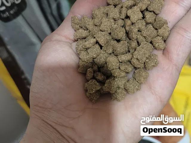 اكل قطط داري فود 6 كيلوا