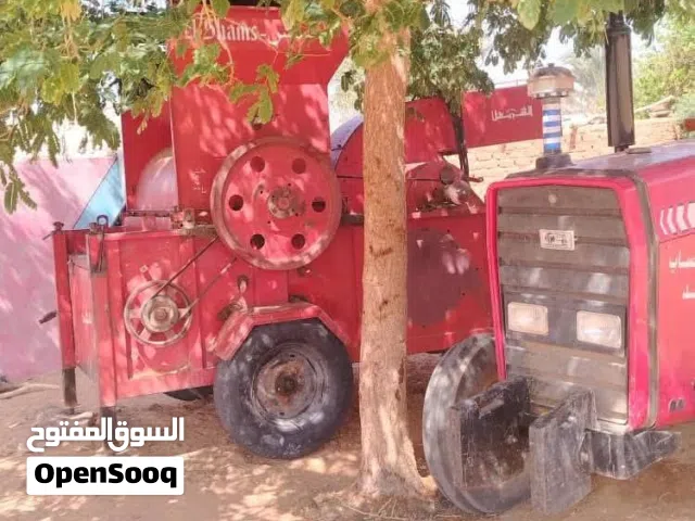 دقاقه شمس كبيره