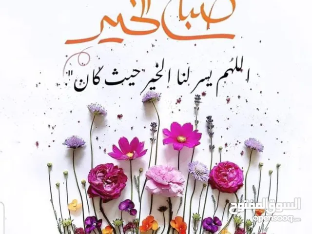 شقه في المدينة الرياضية