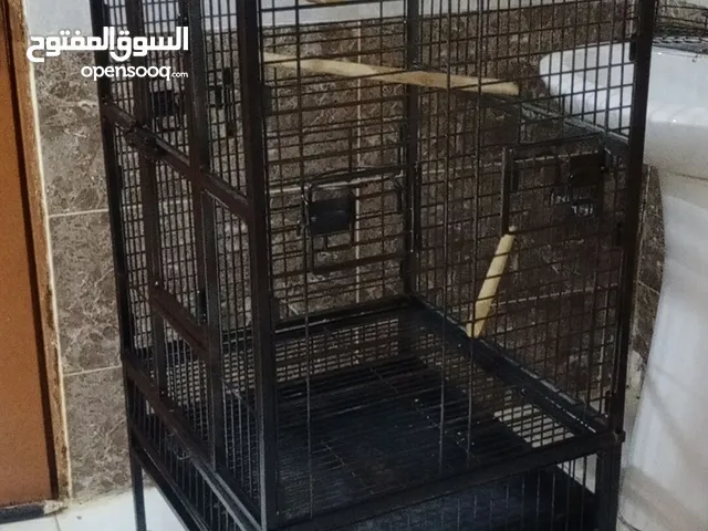 قفص طيور في الرياض حي طويق