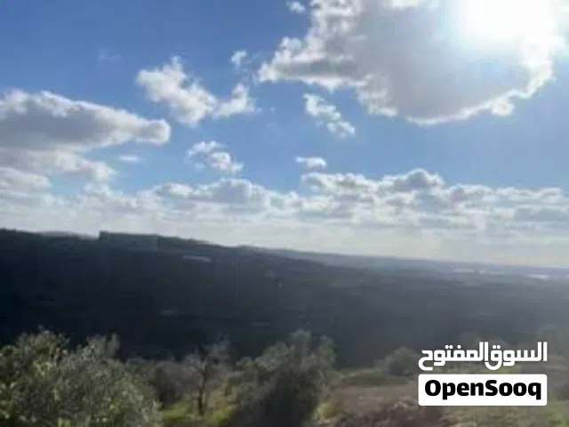 Farm Land for Sale in Hebron Firash AlHawaa