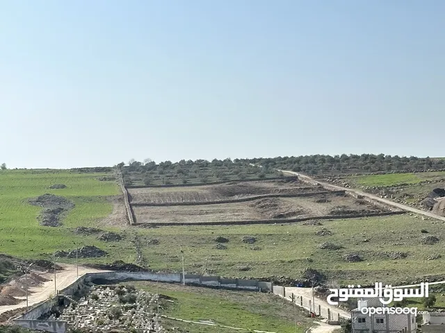 Farm Land for Sale in Irbid Ham