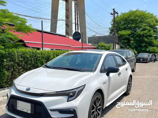 New Toyota Corolla in Baghdad