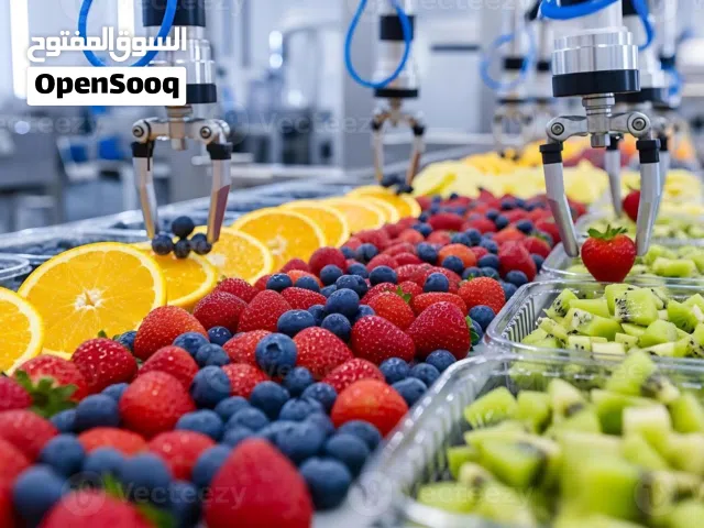 فرصة شراكة لفرع شركة متخصصة في مجال توريد الآلات الصناعية وخطوط الانتاج