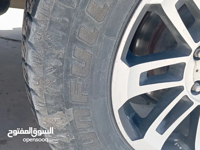 عجل تندرا للبيع عدد 2
