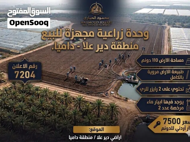 Farm Land for Sale in Salt Deir Alla