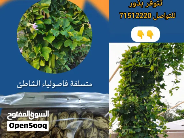 أكياس حماية و أصص زراعية للبيع