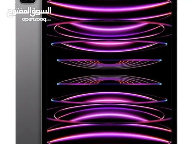 Apple iPad Pro m2(12.9-inch Wi-Fi 128GB) Space Gray