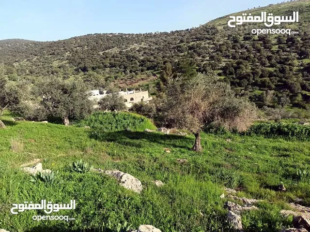Mixed Use Land for Sale in Irbid Bayt Idis