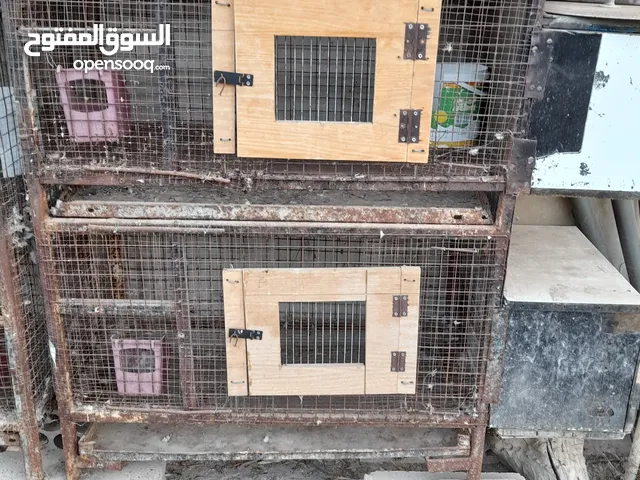 اقفاص طيور وارانب