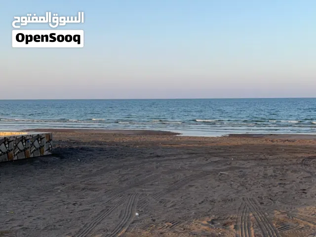 مطلوب حساب فري فاير 600 ريال