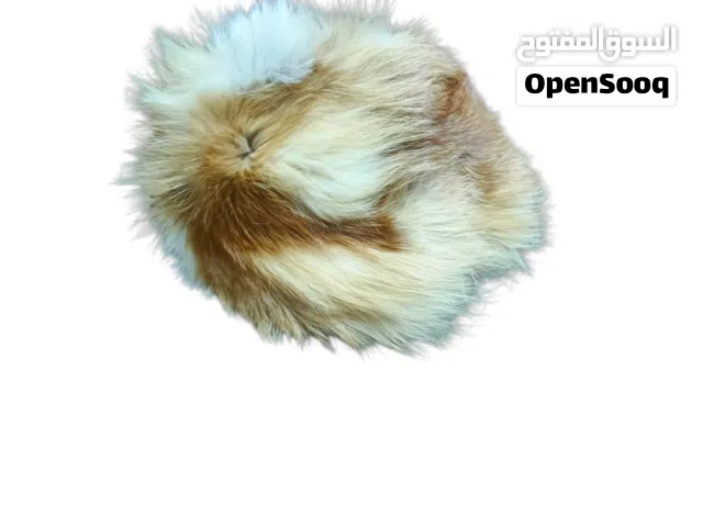 طواقي فرو طبيعي