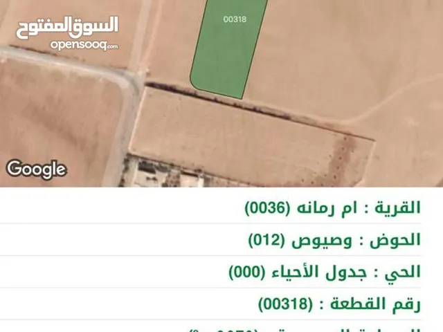 Farm Land for Sale in Amman Um Rummanah