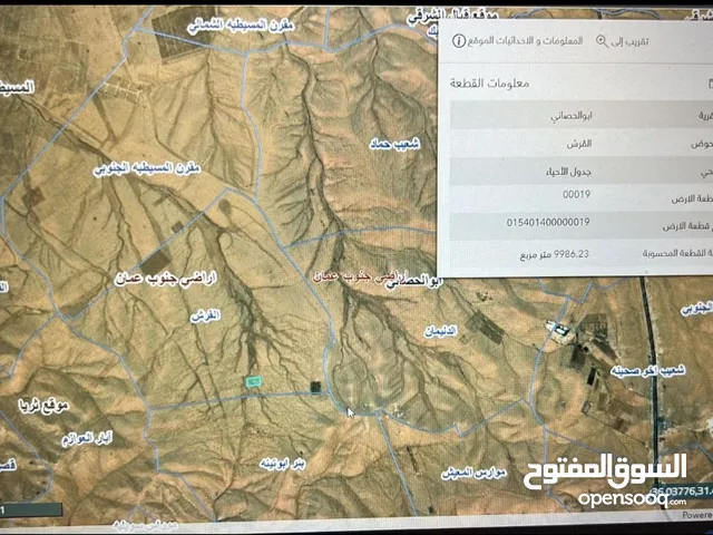 Farm Land for Sale in Amman Other