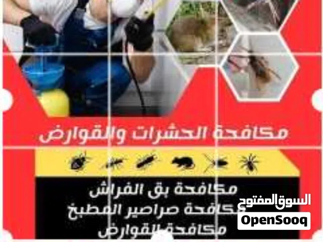 مكافحة حشرات بمكة مكافحة الحمام بمكة التخلص من الحشرات المنزلية مثل بق الفراش والصراصير والعتةوالنمل