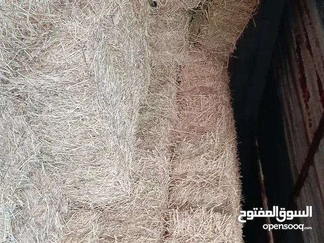 بآلة صفصفه