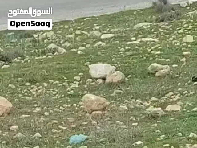 Residential Land for Sale in Amman Safut