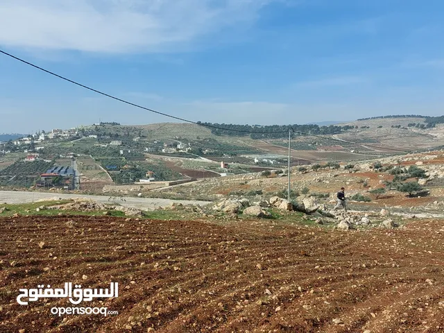 Farm Land for Sale in Jerash Other