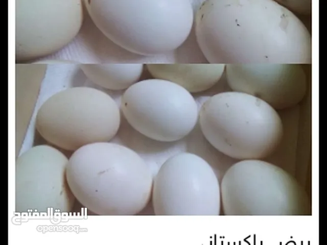 بيض باكستاني