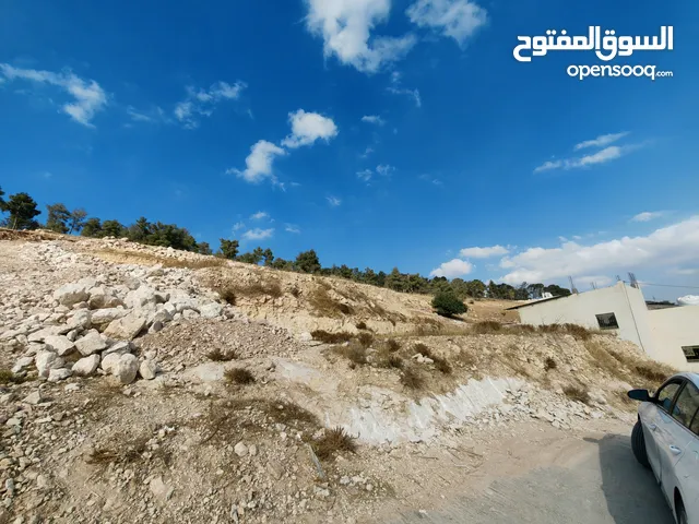 Residential Land for Sale in Amman Umm A-Dananir