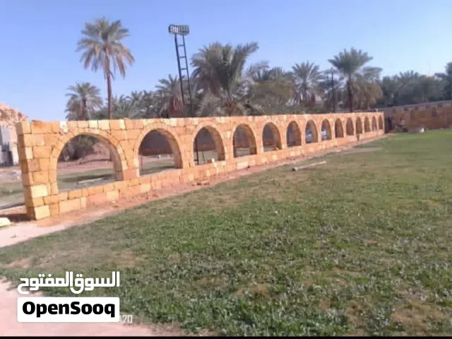 مقاول شبك وحجر وقلع الاشجار