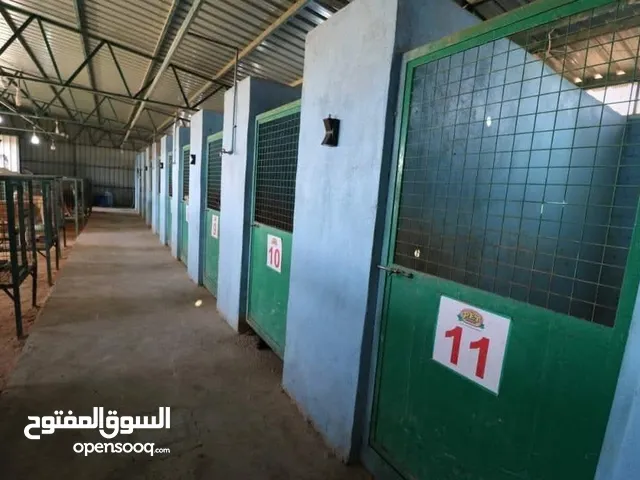 فندق خاص للكلاب بت زون يستقبلكم بفرعيه