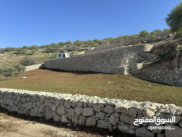 Farm Land for Sale in Zarqa Sarout