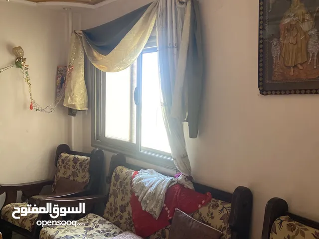 شقه في مصر والسودان بجوار اسماك اليوم