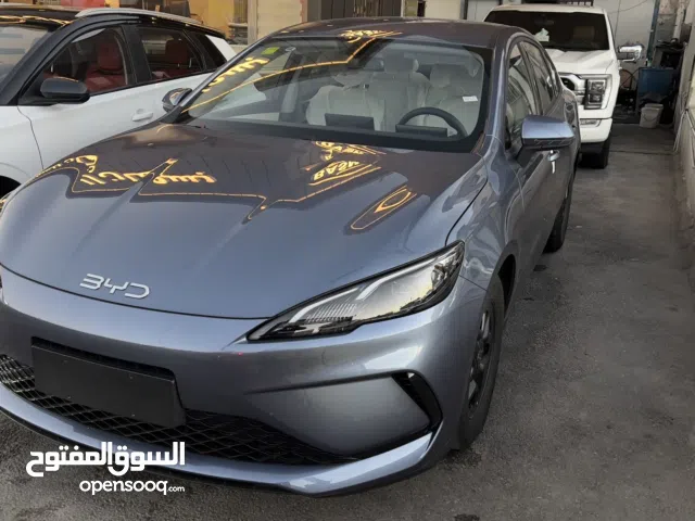 2025, بي واي دي, سيل