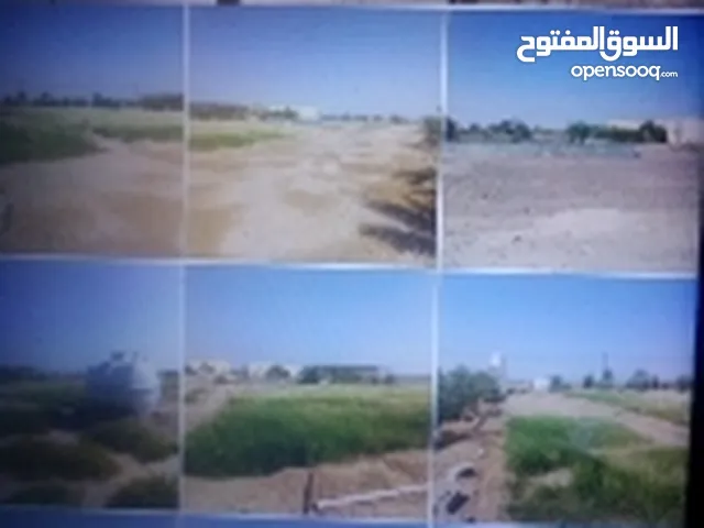 1 Bedroom Farms for Sale in Al Ain Other