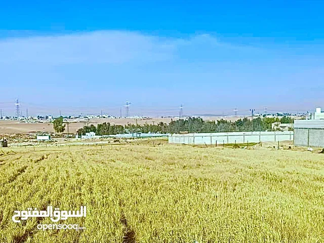 Mixed Use Land for Sale in Amman Zuwayza