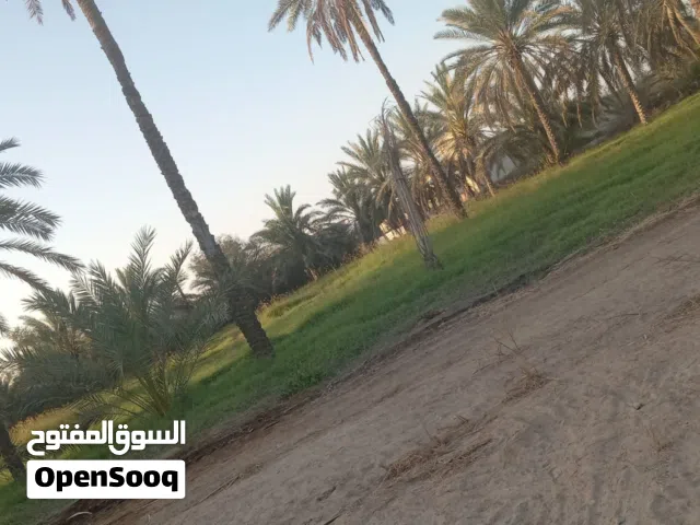 مطلوب مستثمر لمشروع عقاري بعائد سنوي 20%