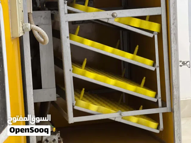 فقاصة ماشاءالله