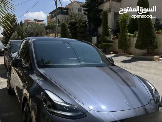 تسلا موديل y 2023 Performance