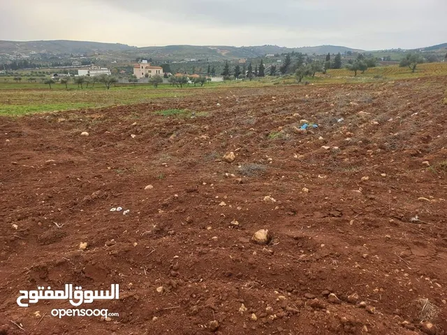 Mixed Use Land for Sale in Jerash Dahl