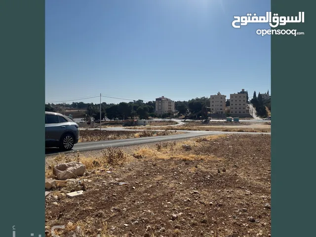 Residential Land for Sale in Amman Naour
