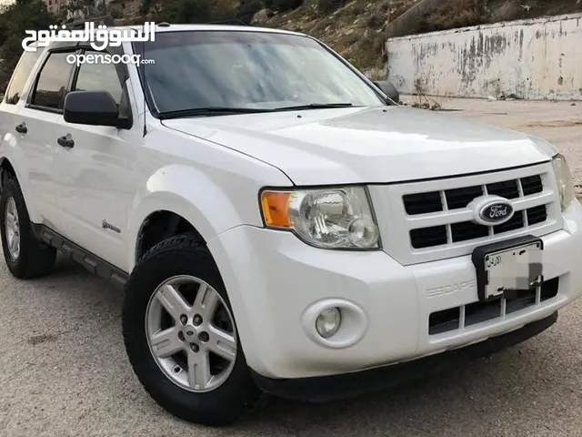 Used Ford Escape in Amman