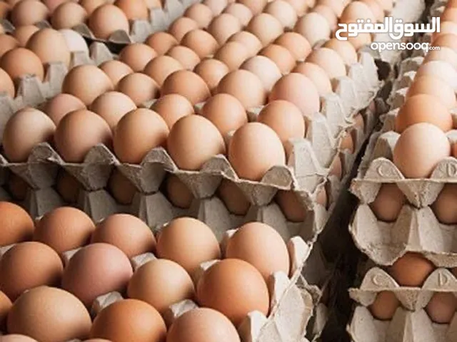 يتوفر بيض مخصب بنسبة تخصيب تصل ل90٪؜