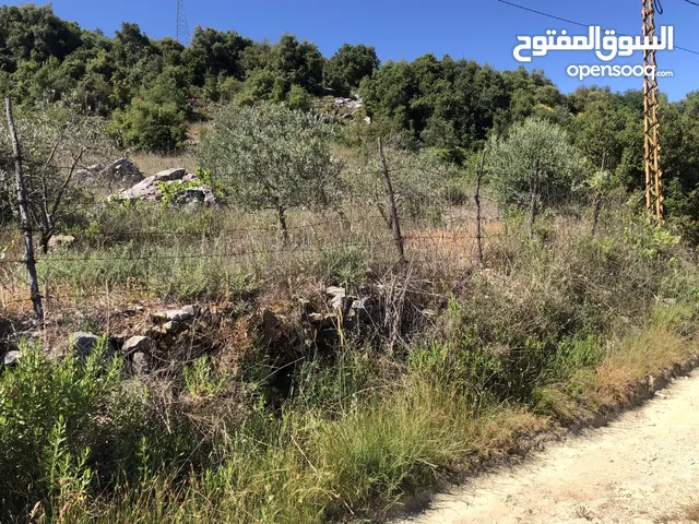 Mixed Use Land for Sale in Aley Other