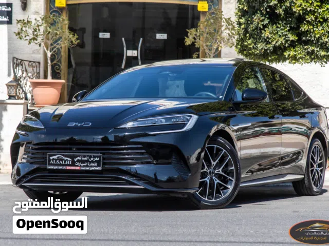 2025, بي واي دي, سيل