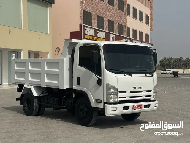 نكال 2016 4 طن الكبينة الكبيرة بدون حوادث