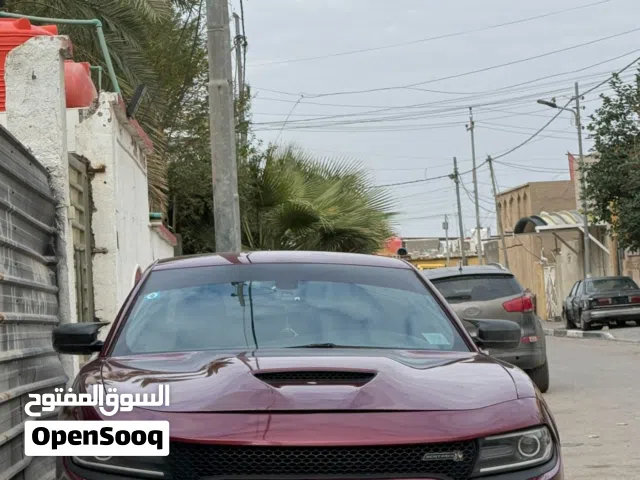 جارجر سكات باك 2019